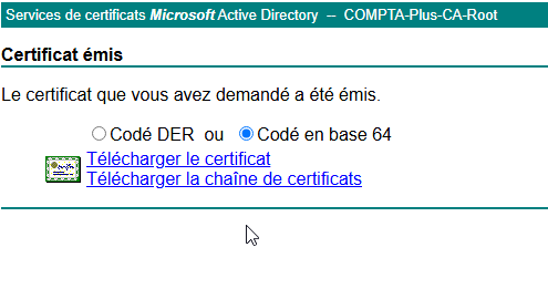 BTS SIO SISR > Annexe 1 : Crée un certificat avec ADCS (pour un serveur web) > image-2025-4-5_6-58-30.png